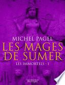 Les mages de Sumer