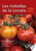 Les maladies de la tomate