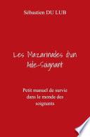 Les Mazarinades d'un Aide-Soignant