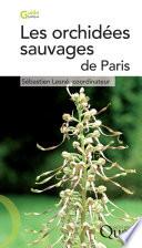 Les orchidées sauvages de Paris