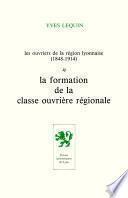 Les Ouvriers de la région lyonnaise (1848-1914) - Volume 1