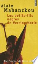 Les petits-fils nègres de Vercingétorix