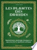 Les plantes des druides