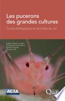 Les pucerons des grandes cultures