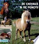 Les races de chevaux et de poneys