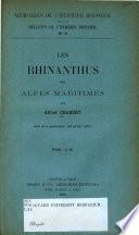 Les rhinanthus des Alpes Maritimes