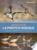 Les secrets de la photo d'oiseaux