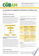Les synergies entre adaptation et atténuation en quelques mots