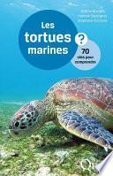 Les tortues marines