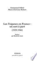 Les Tsiganes en France