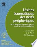 Lésions traumatiques des nerfs périphériques (n° 95)