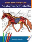 Livre Libro para colorear de Anatomía del Caballo