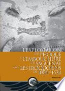 L’exploitation du phoque à l’embouchure du Saguenay par les Iroquoiens de 1000 à 1534