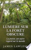 Lumière sur la Forêt Obscure