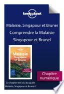 Malaisie, Singapour et Brunei 7ed - Comprendre La malaisie, Singapour et Brunei et Malaisie, Singapour et Brunei pratique Malaisie