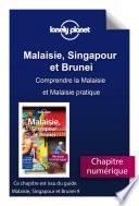 Malaisie, Singapour et Brunei - Comprendre la Malaisie et Malaisie pratique