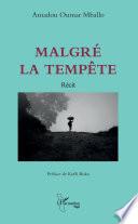 Malgré la tempête