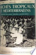 Marchés tropicaux et méditerranéens