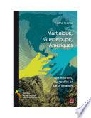 Martinique, Guadeloupe, Amériques. Des marrons, du gouffre et de la Relation