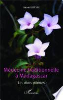 Médecine traditionnelle à Madagascar