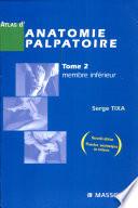 Membre inférieur