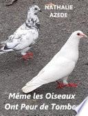 Même les oiseaux ont peur de tomber
