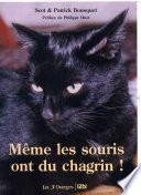 Même les souris ont du chagrin