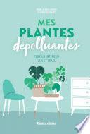 Mes plantes dépolluantes pour un intérieur zen et frais