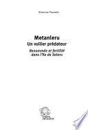 Metanleru, un voilier prédateur