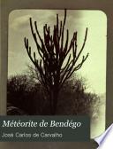 Météorite de Bendégo