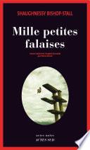 Mille petites falaises