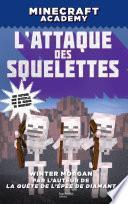 Minecraft Academy - L'attaque des squelettes