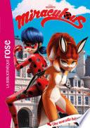 Miraculous 13 - Une nouvelle héroïne