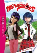 Miraculous 25 - Un duo de choc