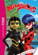 Miraculous 33 - La gardienne des Miraculous