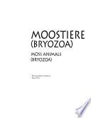 Moostiere (Bryozoa)