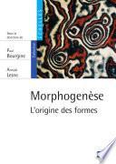 Morphogenèse. L'origine des formes