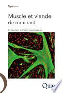 Muscle et viande de ruminant
