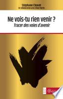 Ne vois-tu rien venir ?