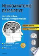 Neuroanatomie descriptive