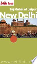 New Delhi 2015/2016 Petit Futé