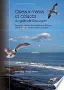 Oiseaux marins et cétacés du golfe de Gascogne