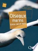 Oiseaux marins