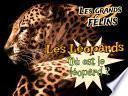 Où est le léopard ?
