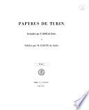 Papyrus de Turin facsimilès par F. Rossi de Turin, et publiès par W. Pleyte de Leide