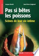 Pas si bêtes les poissons. Scènes de leur vie intime