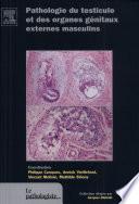 Pathologie du testicule et des organes génitaux externes masculins