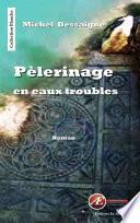 Pèlerinage en eaux troubles