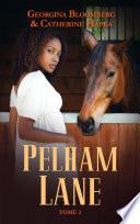 Pelham Lane -