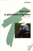 Pépinières et plantations d'agrumes